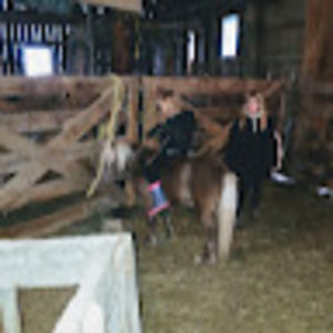 Meet your Posher, Elizabeth